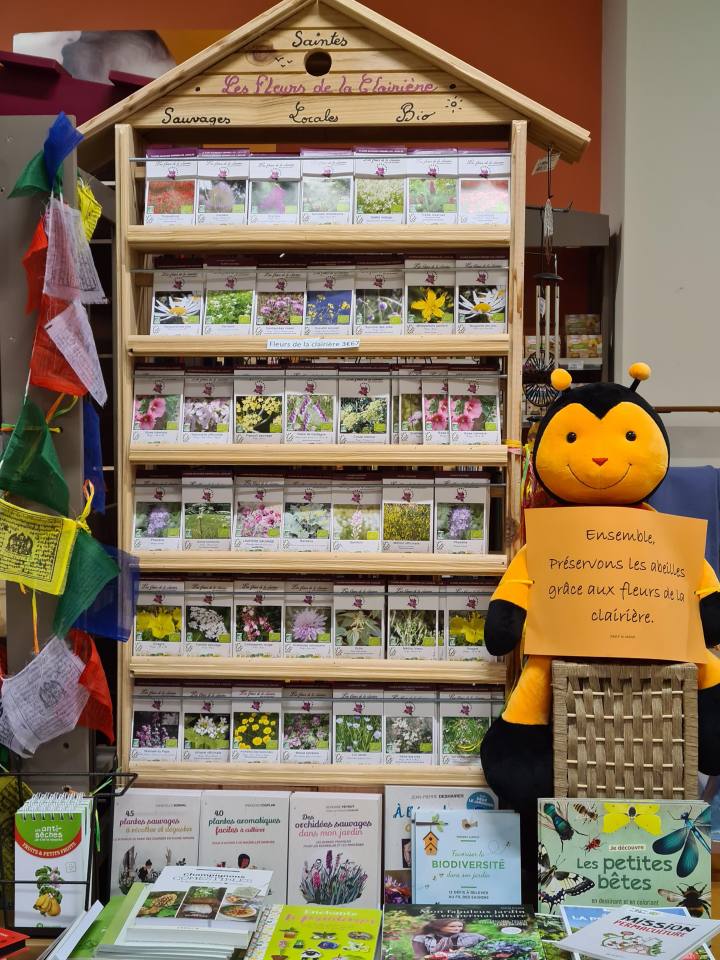 Les fleurs de la clairière